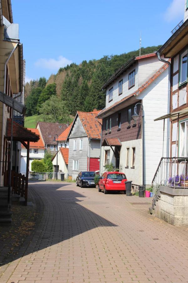 Haus Hirtenbergblick Lonau Zewnętrze zdjęcie