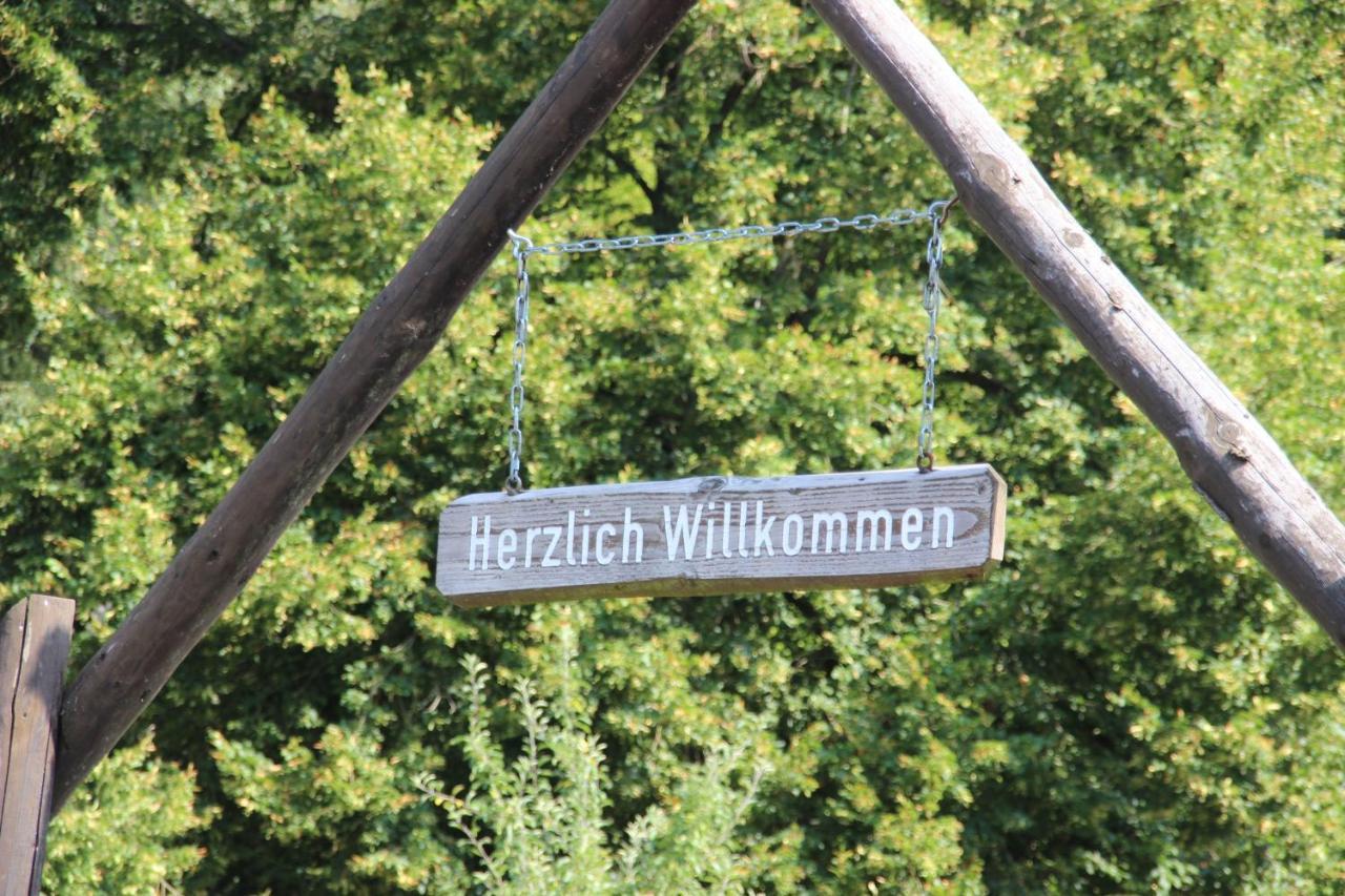 Haus Hirtenbergblick Lonau Zewnętrze zdjęcie