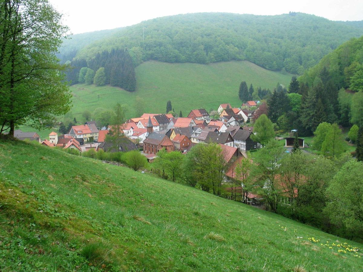 Haus Hirtenbergblick Lonau Zewnętrze zdjęcie