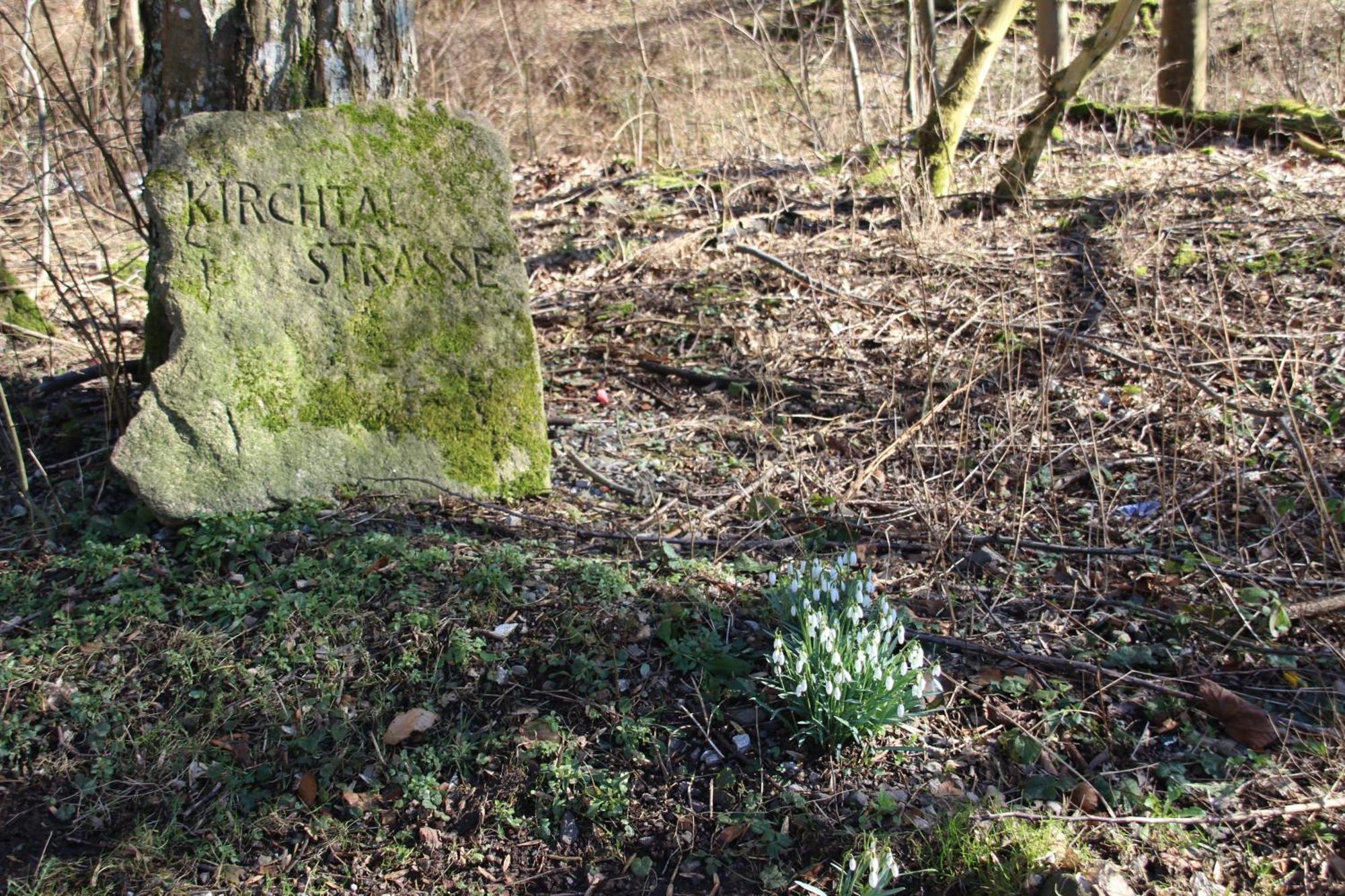 Haus Hirtenbergblick Lonau Zewnętrze zdjęcie